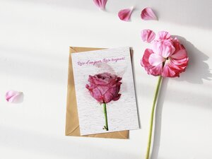 Carte à planter rose d'un jour