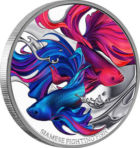 Pièce de monnaie en Argent 1 Dollar g 31.1 (1 oz) Millésime 2024 SIAMESE FIGHTING FISH